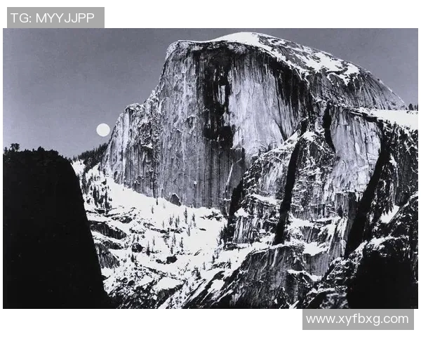 亚当斯的传奇人生与伟大成就探秘：从平凡到卓越的奋斗历程