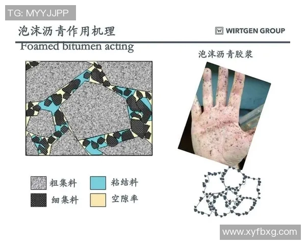 传统体育游戏课程目标的全面探讨与实践意义分析