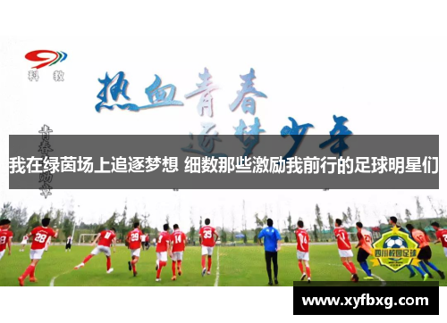 我在绿茵场上追逐梦想 细数那些激励我前行的足球明星们
