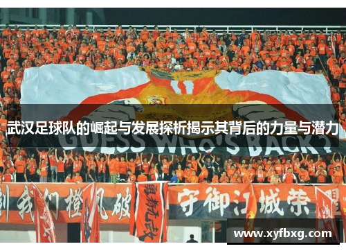 武汉足球队的崛起与发展探析揭示其背后的力量与潜力