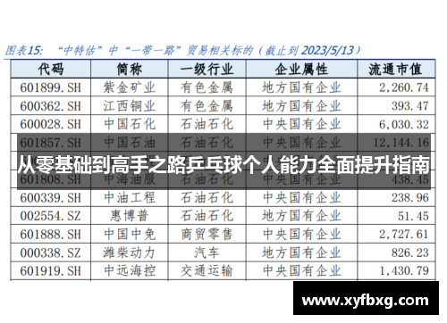 从零基础到高手之路乒乓球个人能力全面提升指南
