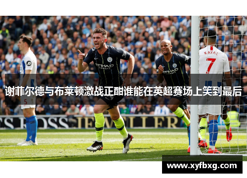 谢菲尔德与布莱顿激战正酣谁能在英超赛场上笑到最后